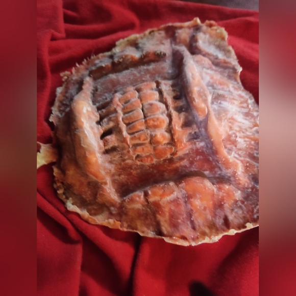 The chedderer mouth prosthetic "Hellraiser" - Picture 2 of 2